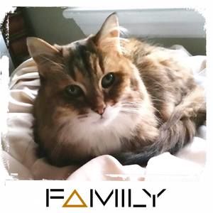 Meet your Posher, Martina